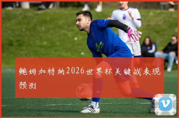 鲍姆加特纳2026世界杯关键战表现预测