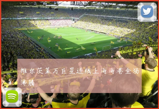 维尔茨莱万巨星连线上海海港全场沸腾