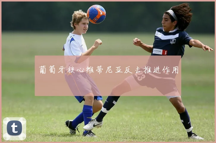 葡萄牙核心维蒂尼亚反击推进作用