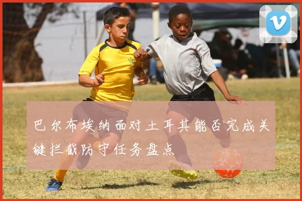 巴尔布埃纳面对土耳其能否完成关键拦截防守任务盘点